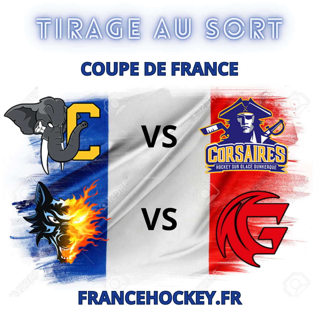 Hockey Sur Glace Coupe De France Chambéry Et Grenoble à Domicile En Demi Finales France Hockey 