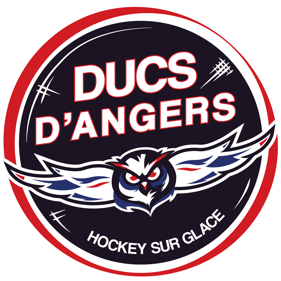 Hockey Les Ducs Dangers Sortent Par La Petite Porte France Hockey